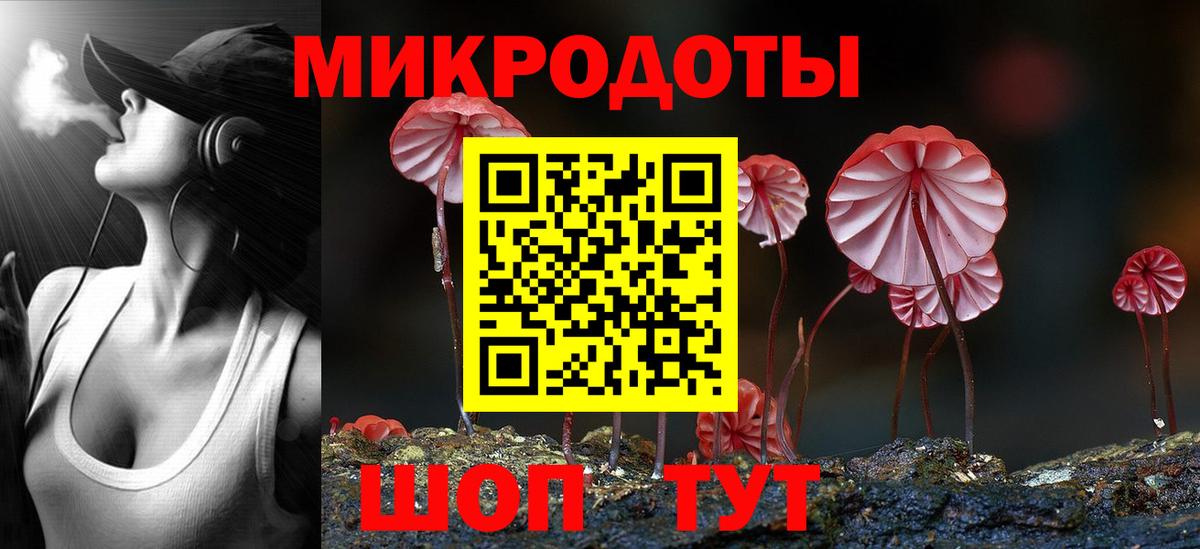 Галлюциногенные грибы Cubensis  Вход с VPN  Тимашёвск 