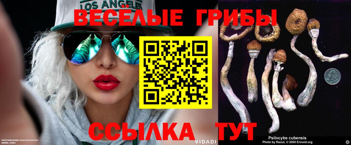 Псилоцибиновые грибы прущие грибы Тимашёвск